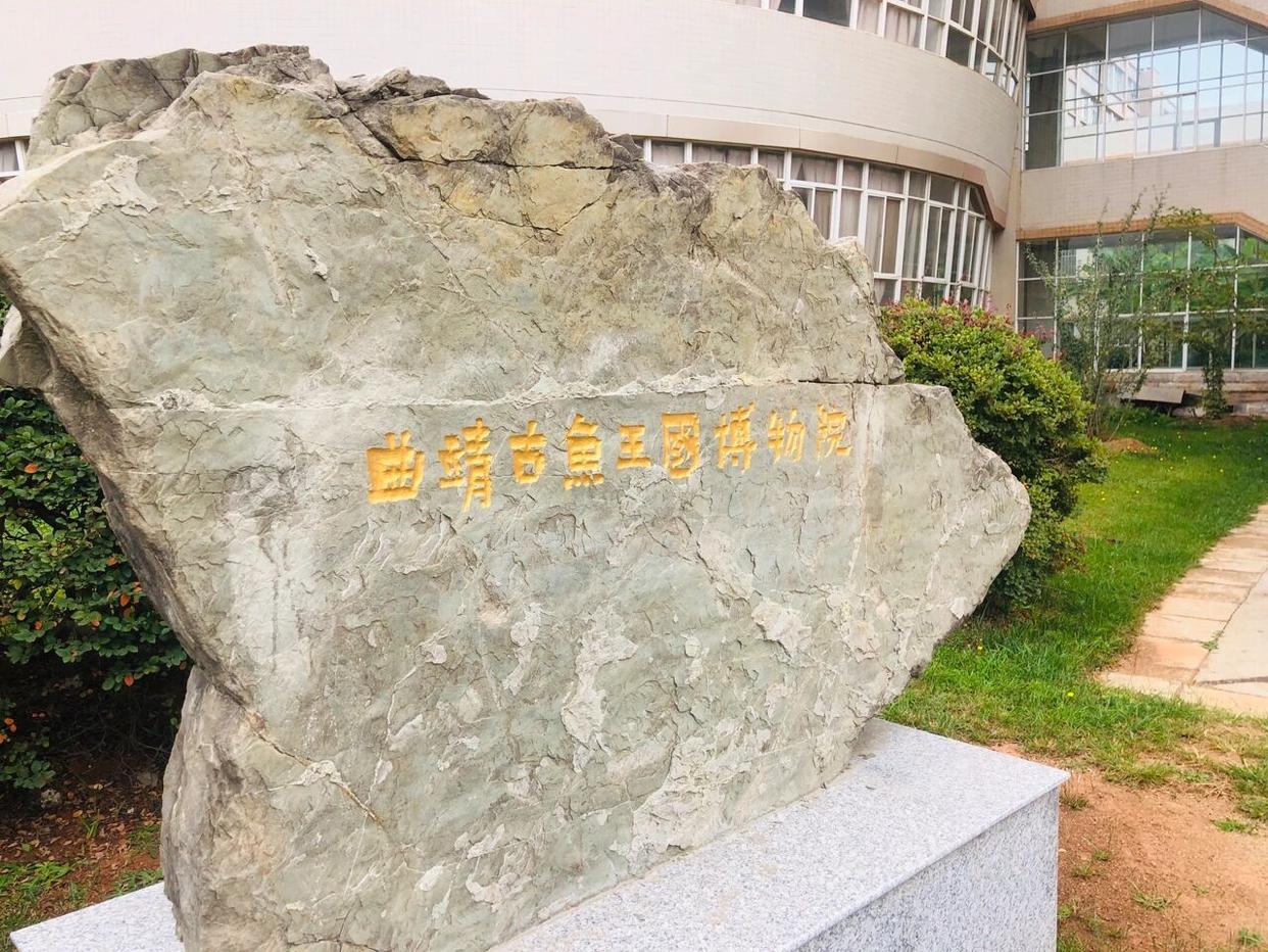 4.2亿年前的生命密码：云南曲靖“古鱼王国”邀您穿越时光长河 | 游一游